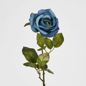 Long Stem Rose Blue by JMC FLORALS, a Plants for sale on Style Sourcebook