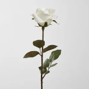 Long Stem Rose White by JMC FLORALS, a Plants for sale on Style Sourcebook