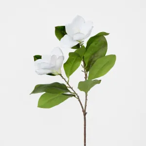 Magnolia Stem White by JMC FLORALS, a Plants for sale on Style Sourcebook