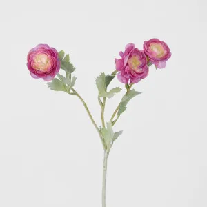 Ranunculus Stem With 3 Heads Pink by JMC FLORALS, a Plants for sale on Style Sourcebook