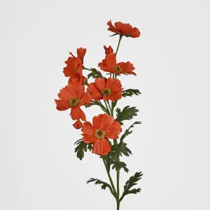 Cosmos Spray 85cm Red by JMC FLORALS, a Plants for sale on Style Sourcebook