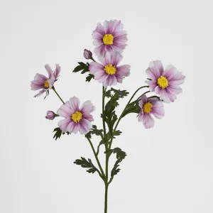 Cosmos Spray 85cm Pink by JMC FLORALS, a Plants for sale on Style Sourcebook