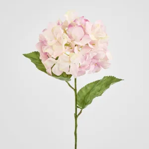 Domed Hydrangea 68cm Light Pink by JMC FLORALS, a Plants for sale on Style Sourcebook