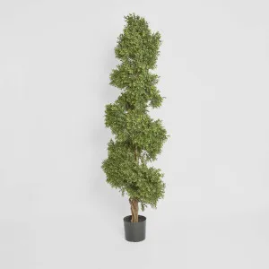 Boxwood Spiral Tree 1.9m by TREE CREATIONS, a Plants for sale on Style Sourcebook