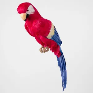 Marron Giant Parrot by Vixen & Velvet, a Christmas for sale on Style Sourcebook