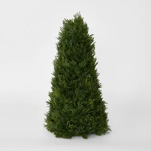 Cypress Cone 43cm by Vixen & Velvet, a Christmas for sale on Style Sourcebook
