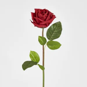 Ingrid Rose Real Touch Red
46cm by Florabelle Living, a Plants for sale on Style Sourcebook
