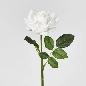 Winston Rose Real Touch White
45cm by Florabelle Living, a Plants for sale on Style Sourcebook