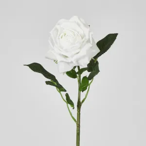 Walter Real Touch Rose Stem Winter White
61cm by Florabelle Living, a Plants for sale on Style Sourcebook