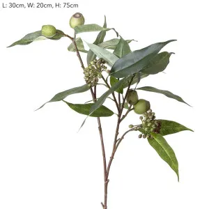 Gumnut Eucalyptus berry Seed Spray 75cm Green by Florabelle Living, a Plants for sale on Style Sourcebook