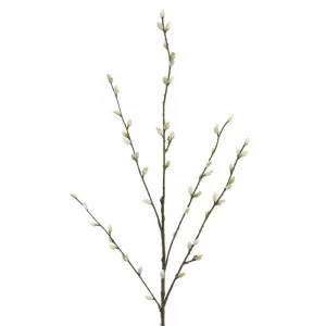Pussy Willow twig Spray Cream by Florabelle Living, a Plants for sale on Style Sourcebook