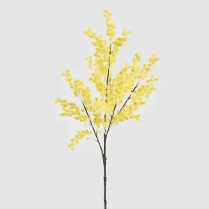 Mimosa Spray 78cm by Florabelle Living, a Plants for sale on Style Sourcebook