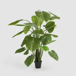 Real Touch Taro Tree 210cm by TREE CREATIONS, a Plants for sale on Style Sourcebook