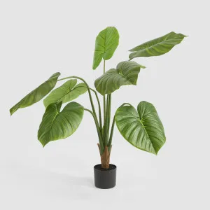 Real Touch Taro Plant 120cm by TREE CREATIONS, a Plants for sale on Style Sourcebook