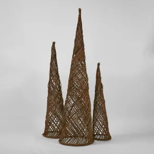Salene Willow Cone Tree 147cm by Vixen & Velvet, a Christmas for sale on Style Sourcebook