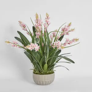 Pauline Arrangement Taupe by Florabelle Living, a Plants for sale on Style Sourcebook
