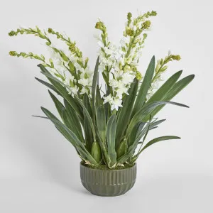 Ferne Arrangement Olive by Florabelle Living, a Plants for sale on Style Sourcebook