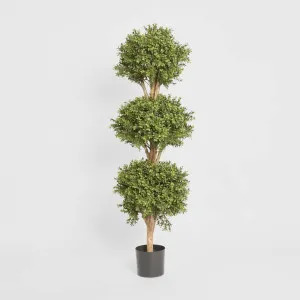 Boxwood Triple Ball Tree 1.2 by TREE CREATIONS, a Plants for sale on Style Sourcebook
