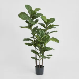 Fiddle Leaf Tree 1.33m by TREE CREATIONS, a Christmas for sale on Style Sourcebook