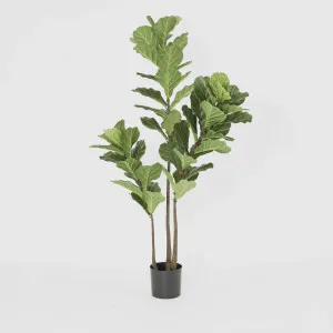 Fiddle Leaf Tree 1.6m by TREE CREATIONS, a Christmas for sale on Style Sourcebook