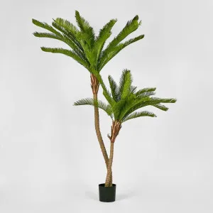 Cycus Palm 1.5M with 2058 Leaves by TREE CREATIONS, a Plants for sale on Style Sourcebook