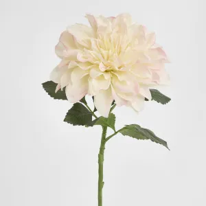 Giant Dahlia Stem 70cm Ice Pink by Florabelle Living, a Plants for sale on Style Sourcebook