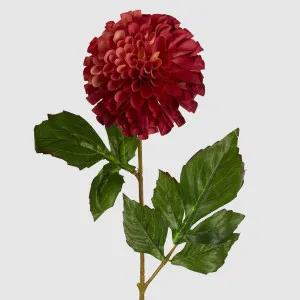 Pompom Ball Dahlia Stem 62cm Burgundy by Florabelle Living, a Plants for sale on Style Sourcebook