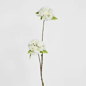 Cherry Blossom Spray 72cm White by Florabelle Living, a Plants for sale on Style Sourcebook