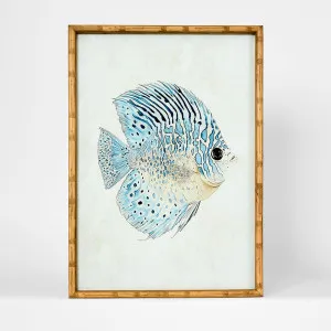 Azure Reef Fish A Wall Art 50x70cm by Florabelle Living, a Prints for sale on Style Sourcebook
