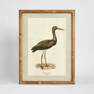 Heron Study A Wall Art 45x60cm by Florabelle Living, a Prints for sale on Style Sourcebook