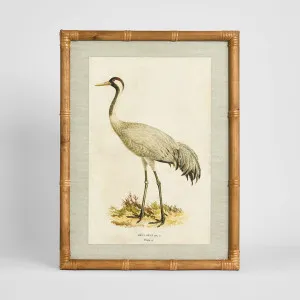 Heron Study B Wall Art 45x60cm by Florabelle Living, a Prints for sale on Style Sourcebook