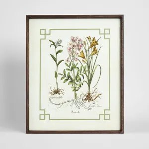 Vintage Flora 2 Wall Art 50x60cm by Florabelle Living, a Prints for sale on Style Sourcebook