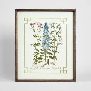 Vintage Flora 1 Wall Art 50x60cm by Florabelle Living, a Prints for sale on Style Sourcebook