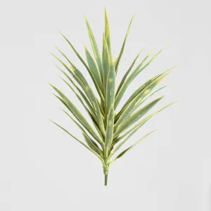 Yucca Head Green 78cm by TREE CREATIONS, a Plants for sale on Style Sourcebook