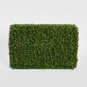Boxwood Hedge 55x95cm by TREE CREATIONS, a Plants for sale on Style Sourcebook