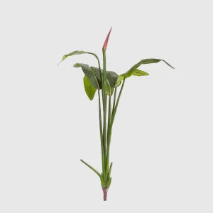 Bird of Paradise Bud 1.37m by TREE CREATIONS, a Plants for sale on Style Sourcebook