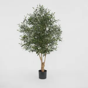 Olive Tree 1.5m by TREE CREATIONS, a Plants for sale on Style Sourcebook