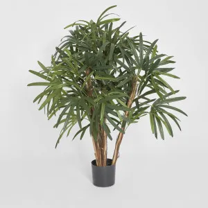 Raphis Palm Thin Leaf 1.2m by TREE CREATIONS, a Plants for sale on Style Sourcebook