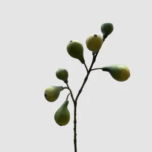 Fig Spray Green 63cm by Florabelle Living, a Plants for sale on Style Sourcebook