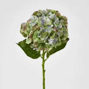 Susan Hydrangea Soft Touch Antique Green
52cm by Florabelle Living, a Plants for sale on Style Sourcebook