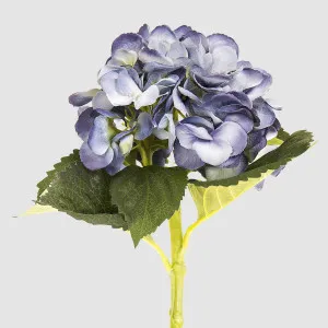 Hydrangea Water 49cm Blue by Florabelle Living, a Plants for sale on Style Sourcebook