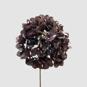 Hydrangea Purple 72cm by Florabelle Living, a Plants for sale on Style Sourcebook