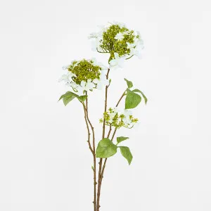 Lace cap Hydrangea Spray 70cm White by Florabelle Living, a Plants for sale on Style Sourcebook