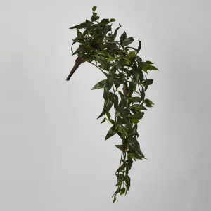 Japanese Bamboo Hanging Bush Green by JMC FLORALS, a Plants for sale on Style Sourcebook