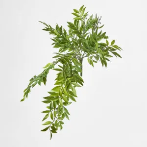 Hanging Ruscus Bush with Seeds by JMC FLORALS, a Plants for sale on Style Sourcebook