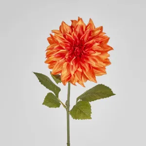 Dahlia Orange by JMC FLORALS, a Plants for sale on Style Sourcebook