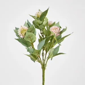 Allium Bush Pink by JMC FLORALS, a Plants for sale on Style Sourcebook