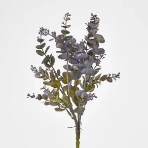 Eucalyptus Bush Purple by JMC FLORALS, a Plants for sale on Style Sourcebook