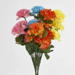 Carnation Bush C Asstd Box of 60 by JMC FLORALS, a Plants for sale on Style Sourcebook