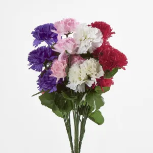 Carnation Bush Asstd Box of 60 by JMC FLORALS, a Plants for sale on Style Sourcebook